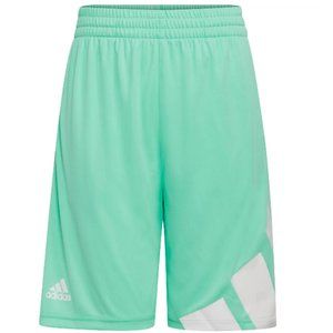 Adidas - Boys' Elastic Waistband Activewear Shorts (Mint Green)